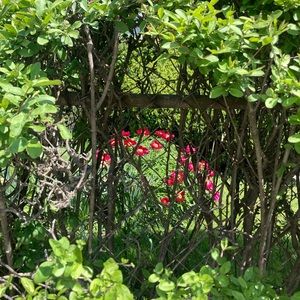 Meet your Posher, Anne